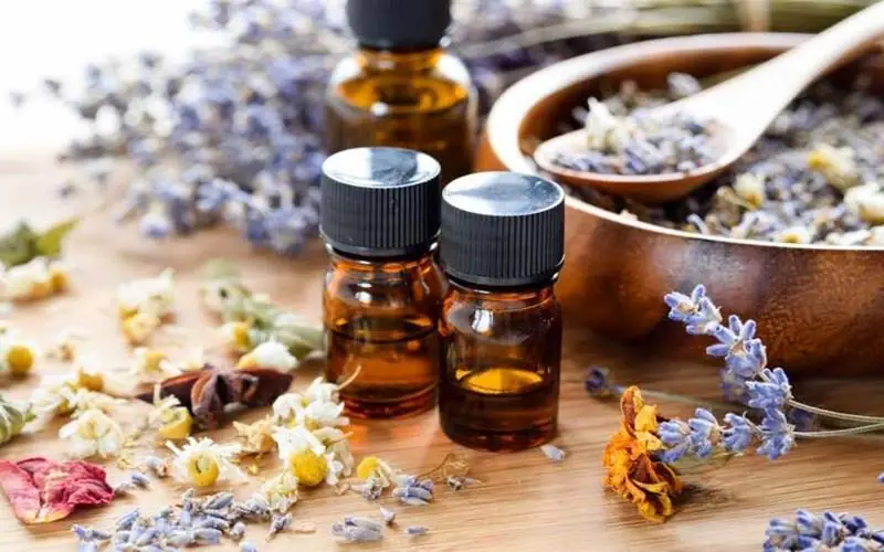 Massage Khiếm Thị Hoa Hướng Dương